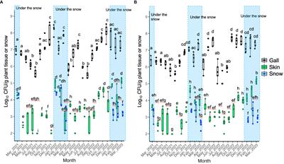 Insight into the population dynamics of pathogenic bacteria causing grapevine crown gall in snowfall areas: snow cover protects the proliferation of pathogenic bacteria